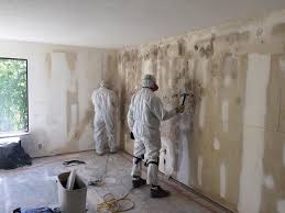 Reliable Falls City, NE Mold Removal Solutions